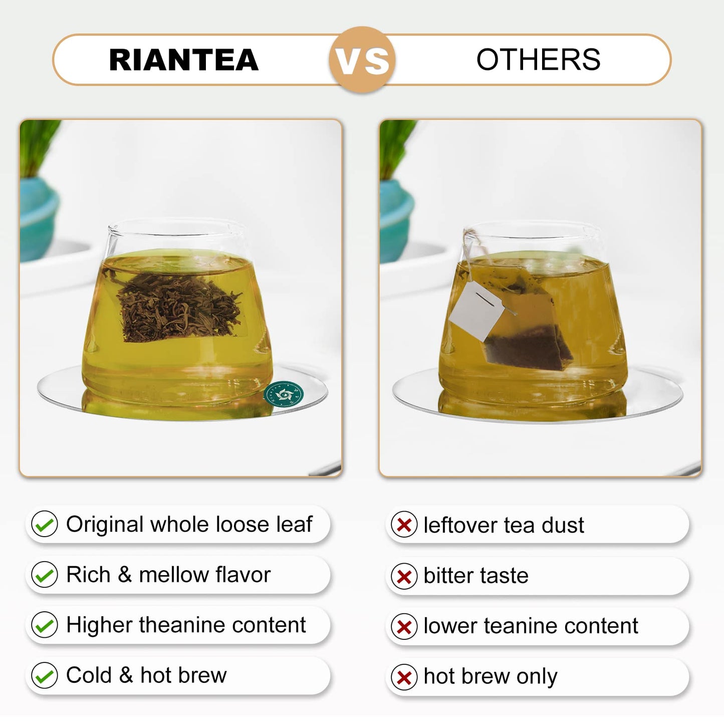 RIANTEA Organic White Tea Bags - 36 Count, Biodegradable Sachets, Full-Leaf, Eco-Conscious Iced Tea, Refreshing Flavor