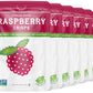 Natures Turn Freeze-Dried Fruit Snacks, Raspberry Crisps, Pack Of 6 (0.53 Oz Each)