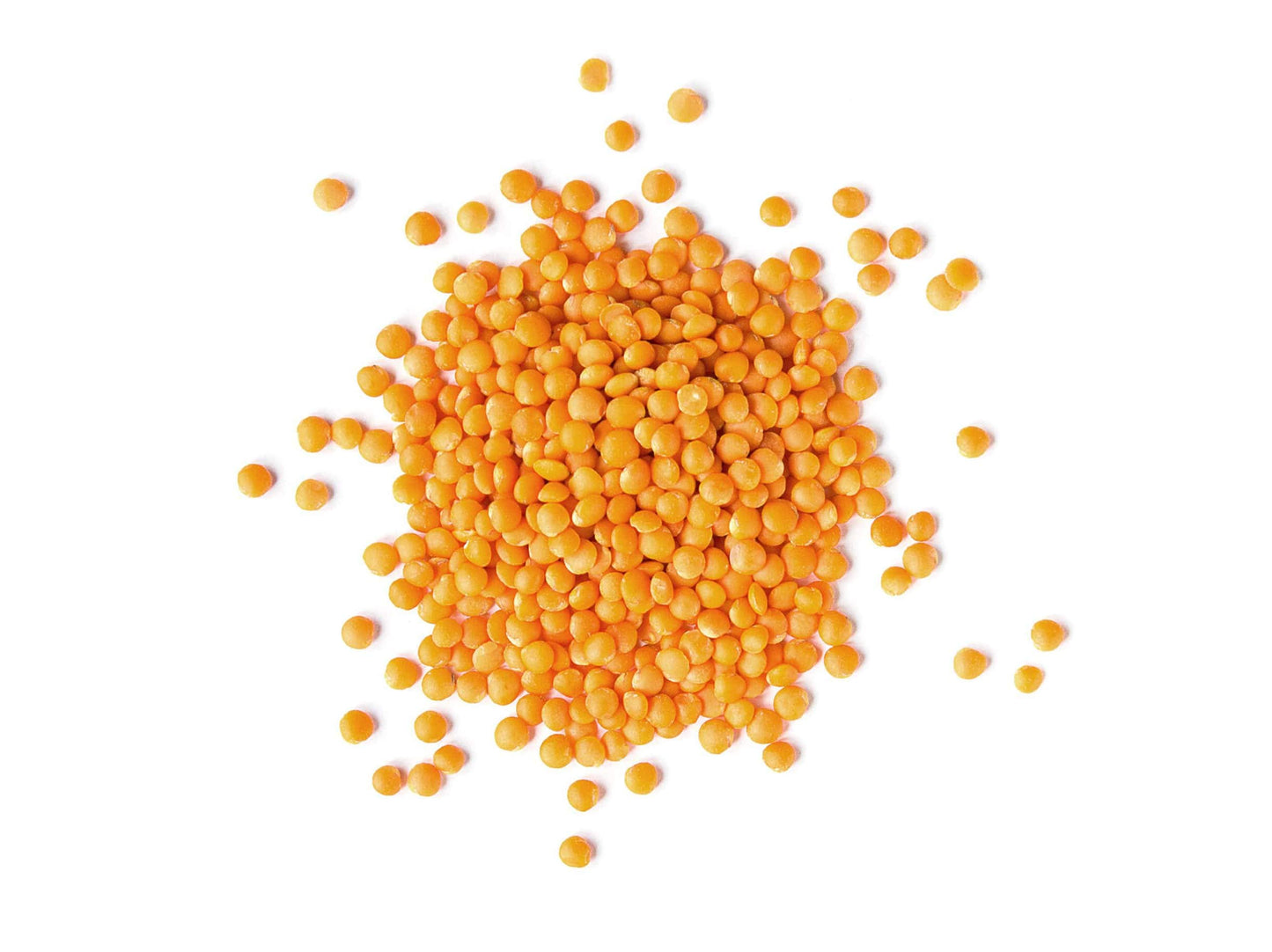 Food to Live Organic Red Split Lentils, 20 Pounds - Non-GMO, Masoor Dal, Dried, Vegan, Kosher, Bulk. No Soaking Required. Source