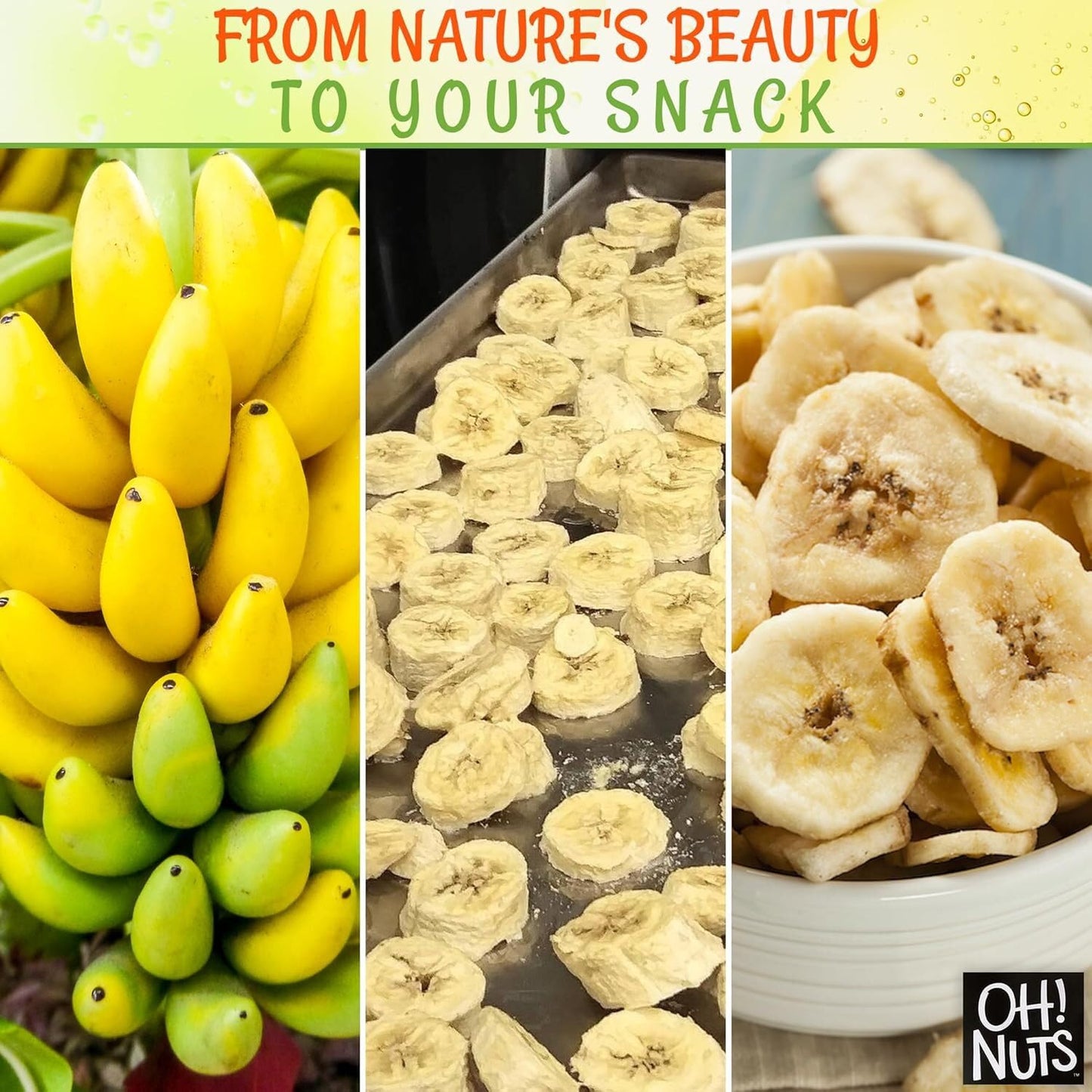 Dried Banana Chips | 1Lb Bulk Bag Fresh Sweetened Dehydrated Banana Fruit Slices | Snacking & Baking | Low In Sodium, Cholesterol, Fat, High Fiber, Egg, Dairy Free | Light Sugar Added By Oh Nuts