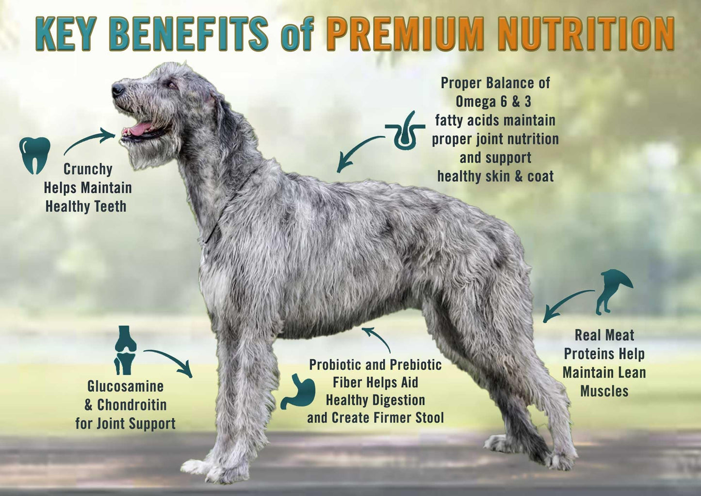 Chicken Soup For The Soul All Natural Enhanced Large Breed Mature-Themed Dry Dog Food, Real Meat First Ingredient, No By-Products, Supports Heart, Gut & Immune Health, Beef & Brown Rice, 28Lb