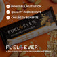 Fuel 4 Ever Peanut Butter Oatmeal Collagen Protein Bars, 14g Protein, MCT Oil, No Artificial Ingredients, Low Carb, High Fiber S