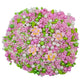 Eastron Pink Flowers Sprinkles Edible Flowers for Cake Decorating White Pink Sugar Pearls Spring Confetti Sprinkles for Cupcakes