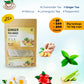 Teadreamtea Ginger Tea Bags - 50 Bleach-Free Tea Bags | Caffeine Free, Antioxidant, Calms Upset Stomach - Strengthen Immune System - Herbal Ginger Tea