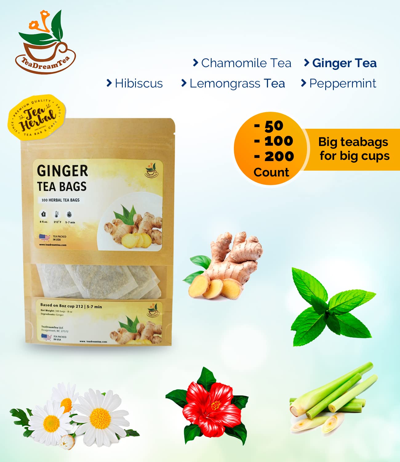 Teadreamtea Ginger Tea Bags - 50 Bleach-Free Tea Bags | Caffeine Free, Antioxidant, Calms Upset Stomach - Strengthen Immune System - Herbal Ginger Tea