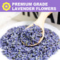 FullChea Natural Dried Lavender Flowers - Premium Food Grade - 4oz/114g - Non-GMO - Caffeine-free - Perfect for Tea and Baking