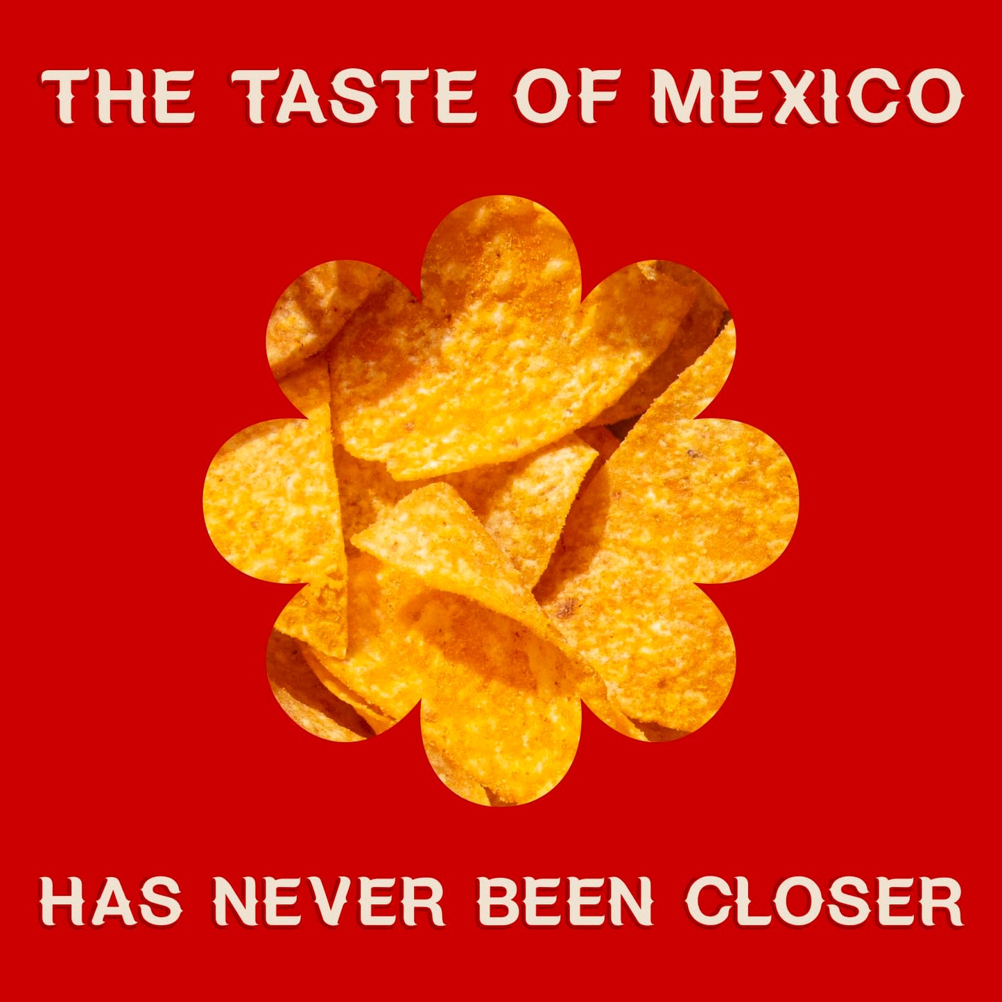 Xochitl Tortilla Chips Cholula Hot Sauce Flavored - Thin & Crispy White Corn Chips, Mexican-Style, Gluten-Free, 11 Oz (Pack Of 4