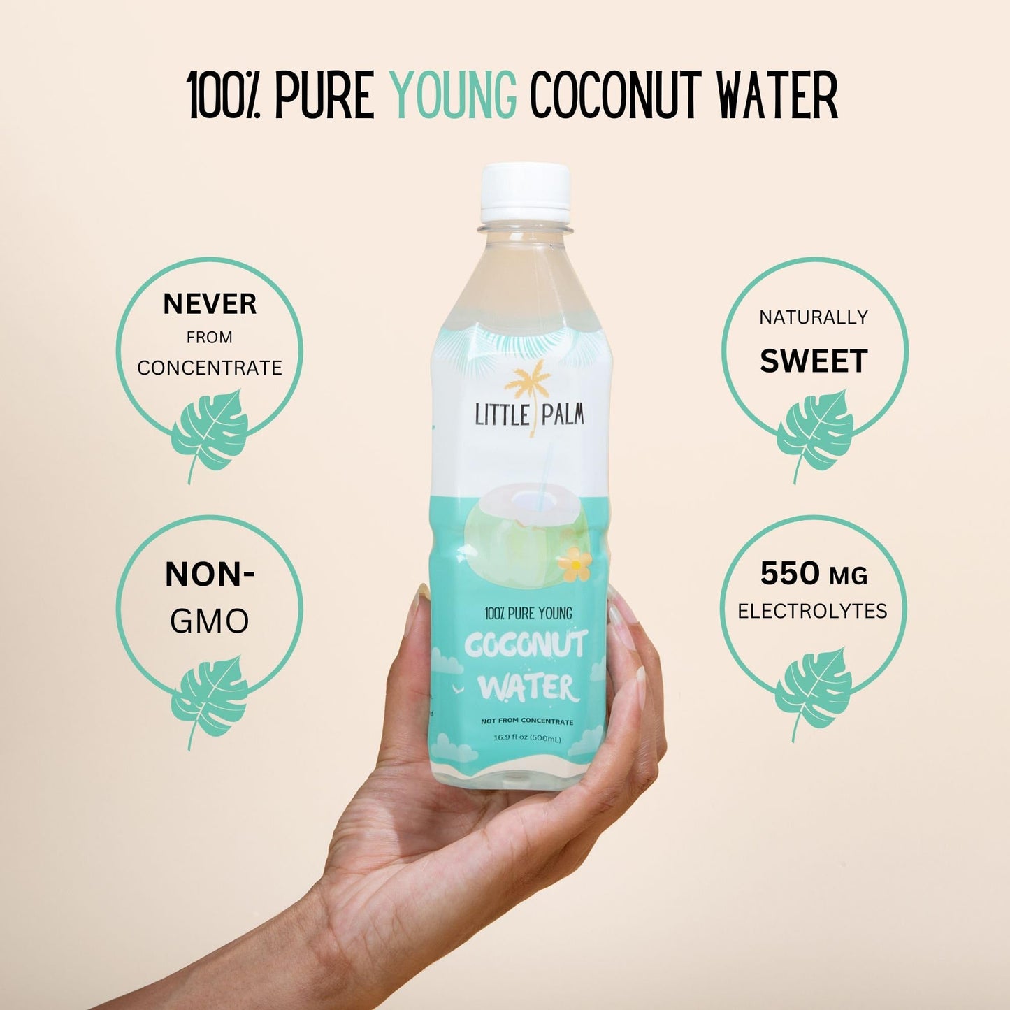 Little Palm - Pure Coconut Water, Made From Young Coconuts, No Sugar Added, Non-Gmo, Natural Hydration, Electrolytes, 16.9 Fl Oz