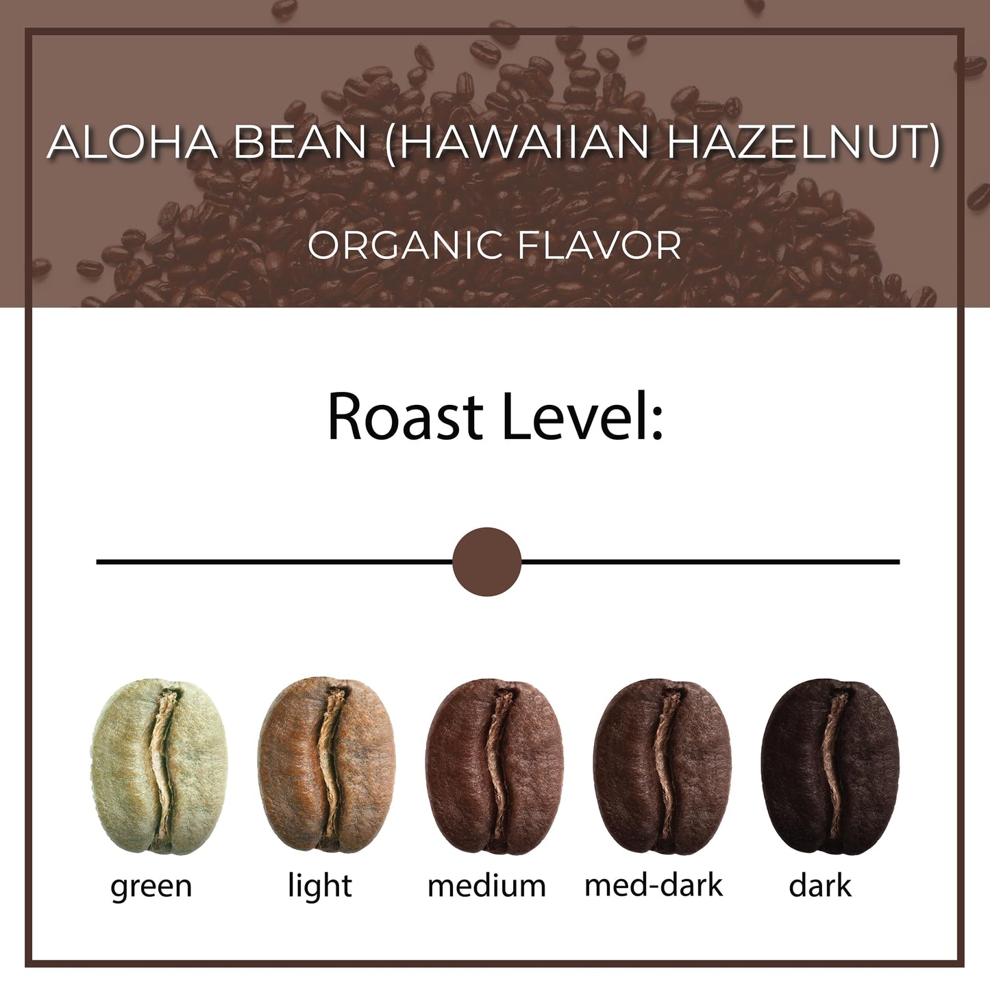 The Bean Organic Coffee Company Aloha Bean (Hawaiian Hazelnut), Medium Roast, Ground Coffee, 16-Ounce Bag,Café Molido Tostado Organico