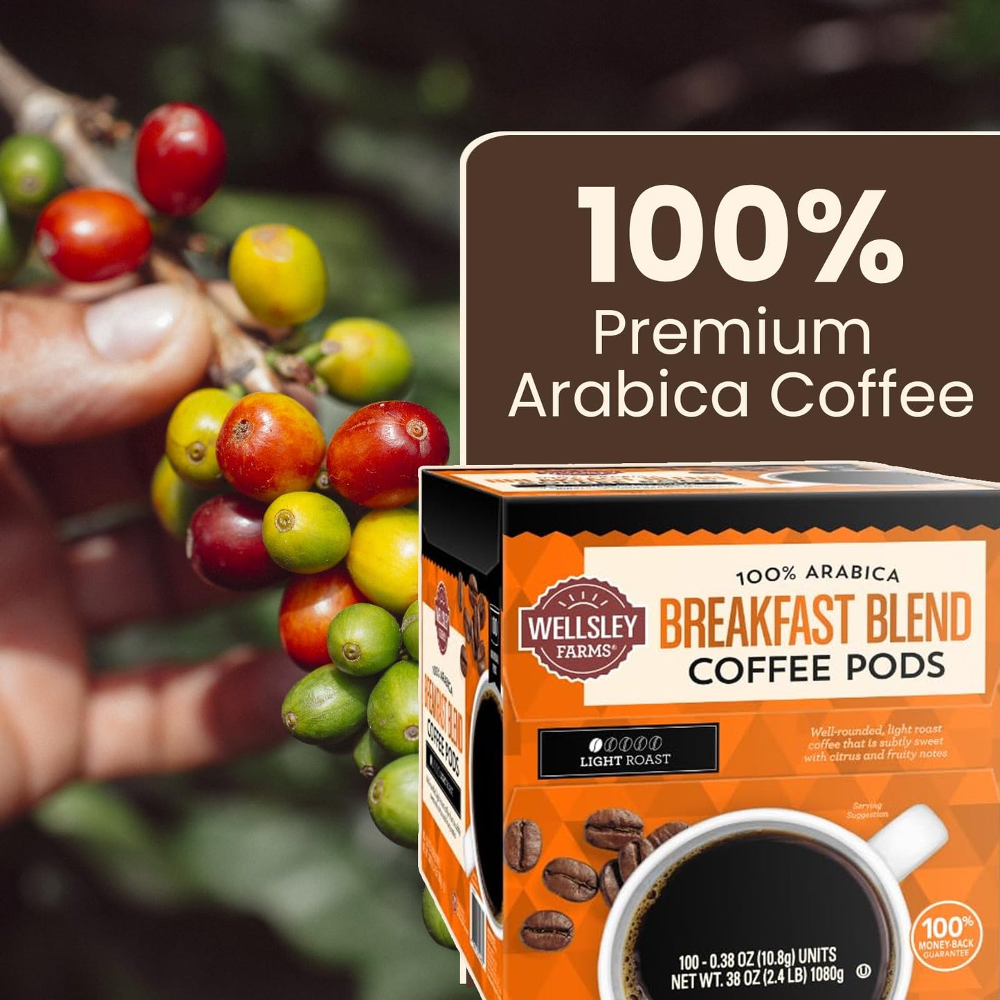 Wellsley Farms Breakfast Blend Coffee Pods - Light Roast - Crafted with 100% Arabica Coffee - Subtly Sweet with Citrus & Fruity Notes - Compatible w/ Single Serve malt-inspired - 38oz  Coffee Pods 100 Count