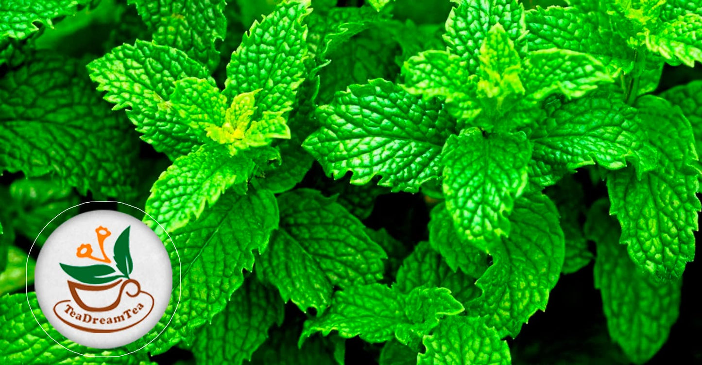 Teadreamtea Peppermint Tea Bags - Alleviates Digestive Discomfort | Herbal Tea - Healthy Tea | Aromatic & Caffeine Free Tea - Bulk Tea Bags (50 Teabags)