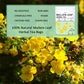 Mullein Tea Bags, Premium 50 Mullein Tea For Lungs, 100% Pure Mullein Leaf Tea, Good For Lungs Cleanse And Respirator