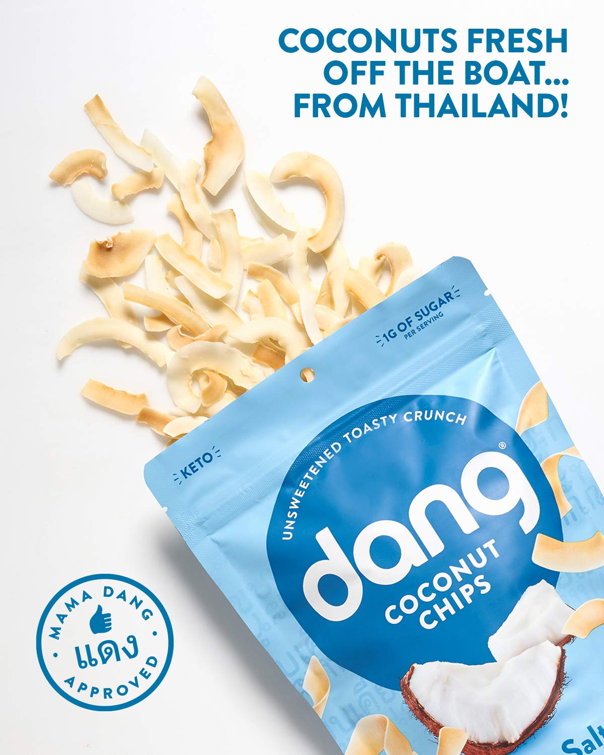 Dang Toasted Coconut Chips | Lightly Salted | 12 Pack | Vegan, Gluten Free, Non Gmo, Healthy Snacks Made With Whole Foods | 3.17