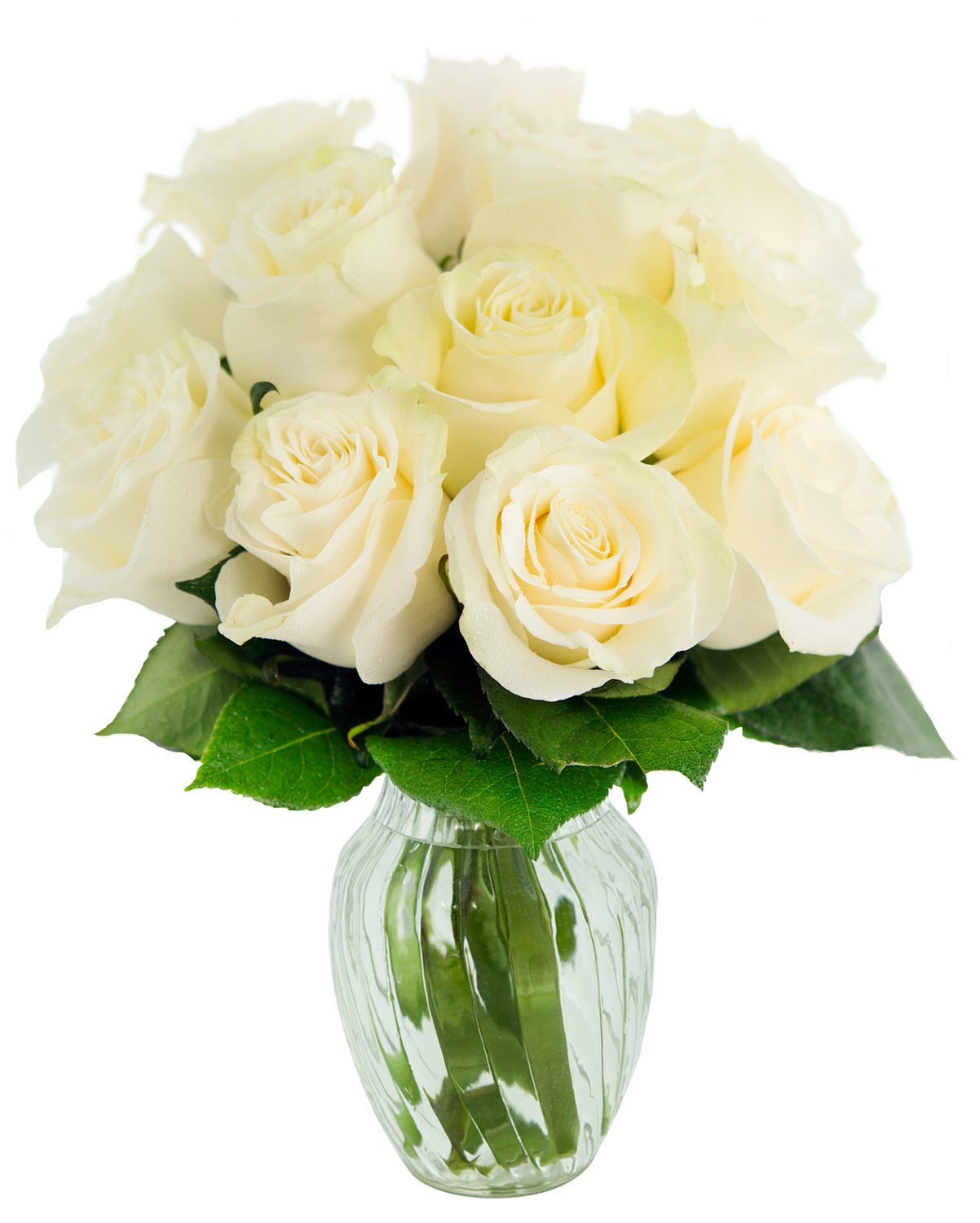 Kabloom Flowers - MotherS Day Collection - Bouquet Of 12 Fresh White Roses (Farm-Fresh  Long-Stem) With Vase - Gift For Birthday  Sympathy Valentine  Mothers Day Fresh Flowers