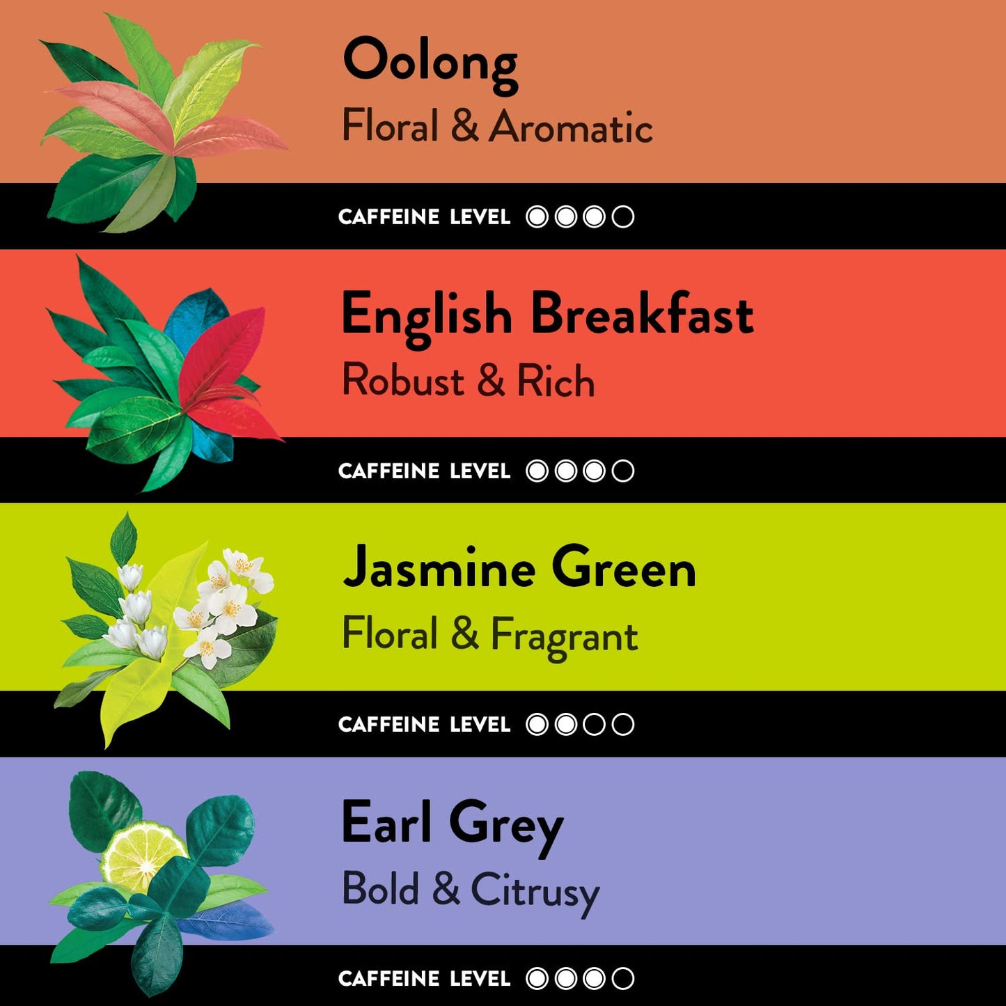 Choice Organic Teas Sipping Box Tea Sampler  Variety Gift Box  32 Total Tea Bags  8 Flavors  Caffeinated and Caffeine-Free Teas  Sustainably Sourced Organic and Non-GMO Ingredients