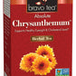 Bravo Tea Absolute Chrysanthemum Herbal Tea, Caffeine Free, 20 Tea Bags, 1 Count