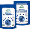 NATIERRA Organic Freeze-Dried Blueberries | Non-GMO & Vegan Blueberry | 1.2 Ounce (Pack of 2)