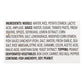 Thai Kitchen Gluten Free Pad Thai Rice Noodle Cart, 9.77 oz (Pack of 3)