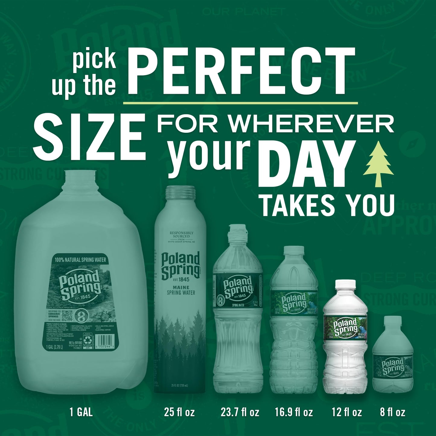 Poland Spring Brand 100% Natural Spring Water, 12 fl oz. Plastic Bottles (12 count)