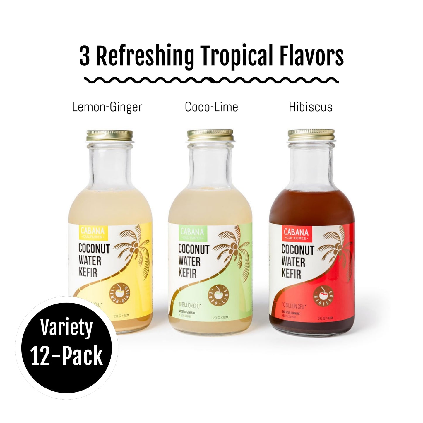 Cabana Cultures Probiotic Coconut Water Kefir, Vegan, Low Sugar, 12 Fl Oz (Pack of 12)