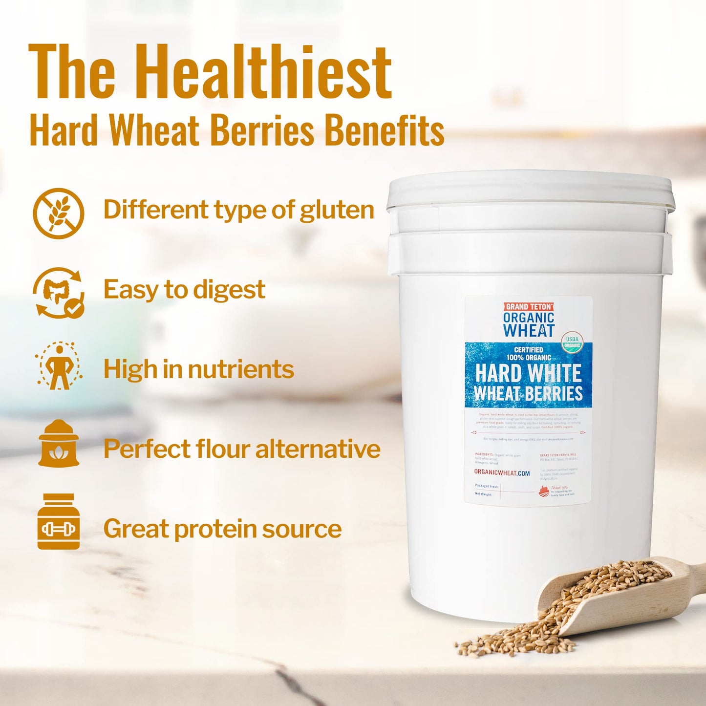Grand Teton - 100% Organic Hard White Wheat Berries | Us-Grown Wheat Berries Bulk | Packaged In 6 Gallon Hdpe Pail For Long-Term
