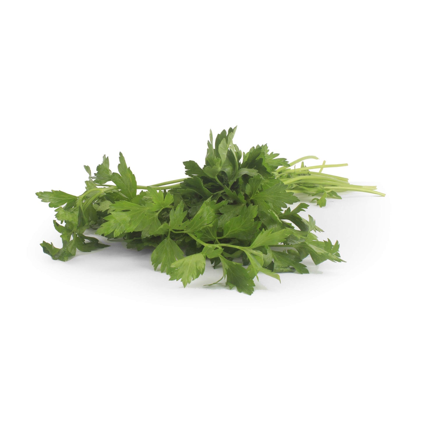 Organic Italian Parsley (Flat Leaf), One Bunch