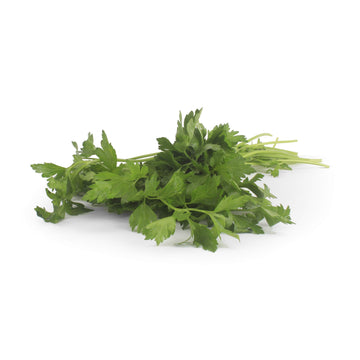 Organic Italian Parsley (Flat Leaf), One Bunch
