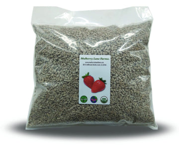 Sunflower Seeds, 5 Pounds Raw, Hulled, Unsalted, No Salt, Usda Certified Organic, Non-Gmo Bulk, Product Of Usa, Mulberry Lane Fa