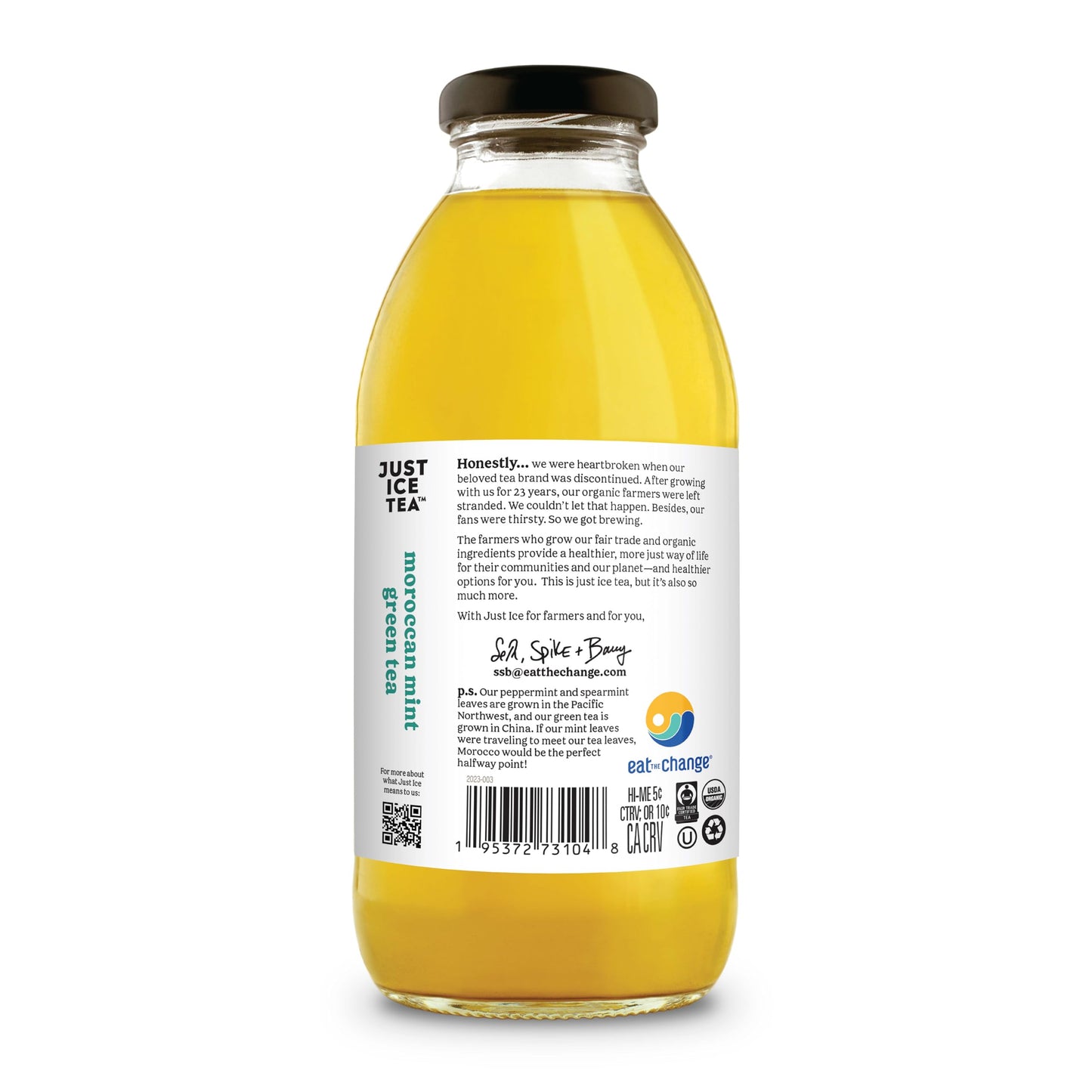 Eat The Change Just Ice Tea Organic Moroccan Mint Green Tea, Kosher, 16 Fluid Ounces (Pack Of 12)
