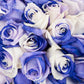Blommingmore | Farm Fresh Natural | Tinted Purple And White Roses | 50 Stems | Home, Office, Wedding Decor, Diy, Party Event, Ho