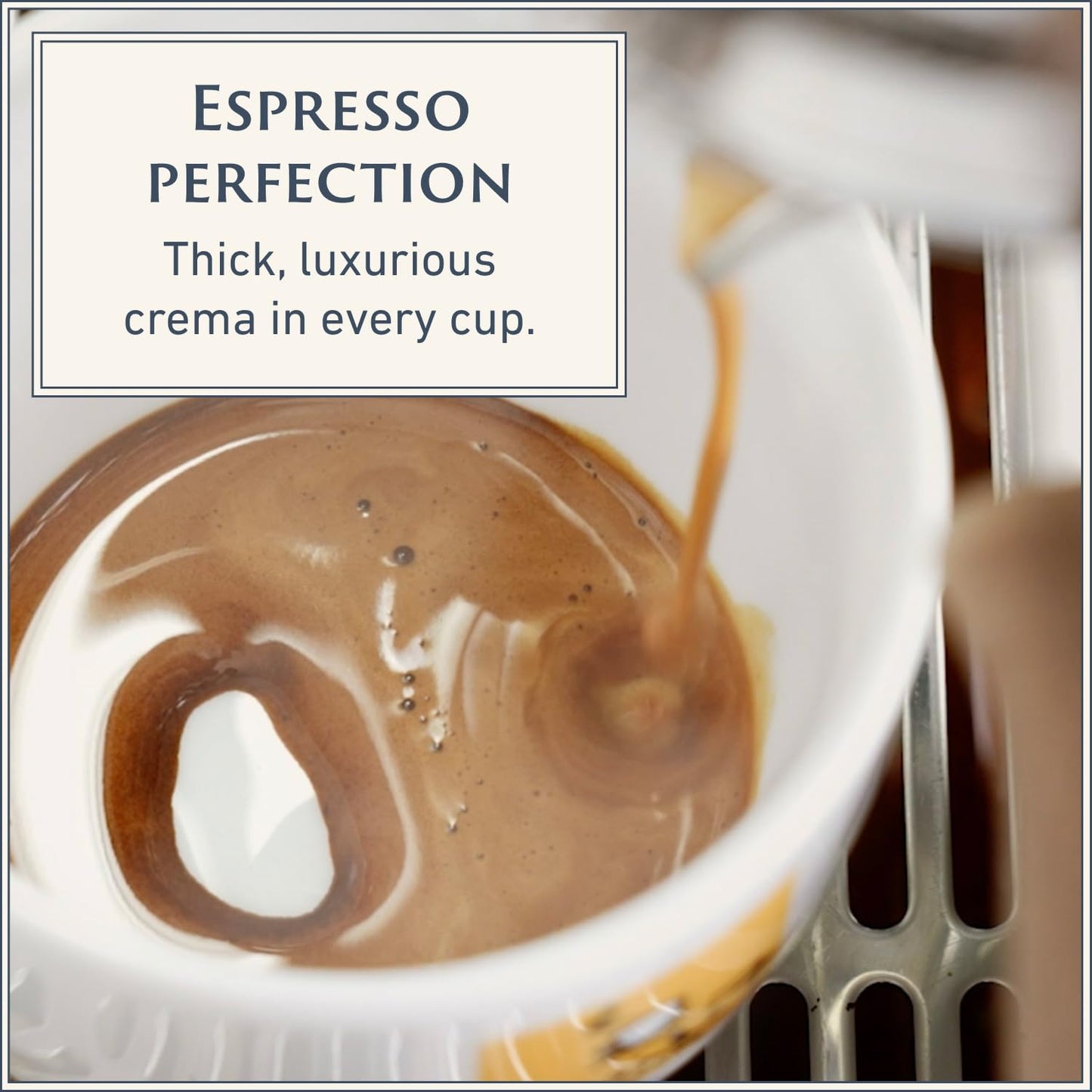 Filicori Zecchini Espresso Beans – Medium Roast Arabica & Robusta Blend – Low Acidity – 35.2 Ounce Kavè Bag