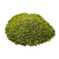 YOGI’S GIFT Moringa Leaves Loose 1 LB | 100% Natural Tea & Salad Enhancer | No Stems | Premium Moringa Leaf