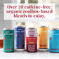 The Republic of Tea Get Smart Tea - 36 Count Pack - Herbal Tea, Caffeine-Free