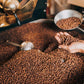 Hawaiian Isles Coffee Island Sunset, Dark Roast Ground Coffee,10% Hawaiian Coffee Blend, Roasted With Aloha - 8 Ounce Bag