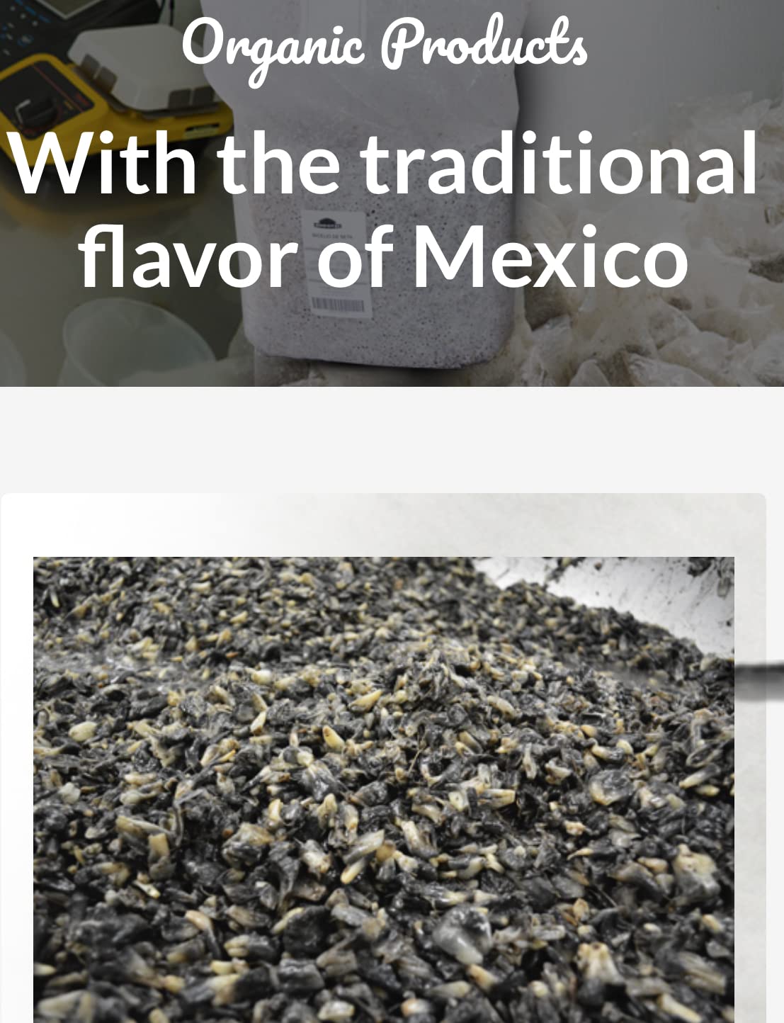Endotzi | Huitlacoche - Corn Mushrooms Authentic Product Of Mexico | 17Oz