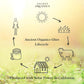 Ancient Organics Ghee - Organic Grass Fed Clarified Butter, Gluten Free, Lactose Reduced, 9 Oz