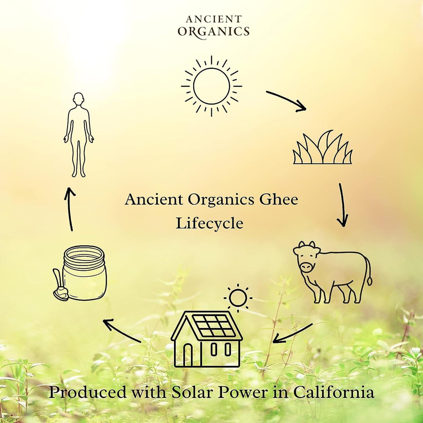 Ancient Organics Ghee - Organic Grass Fed Clarified Butter, Gluten Free, Lactose Reduced, 9 Oz