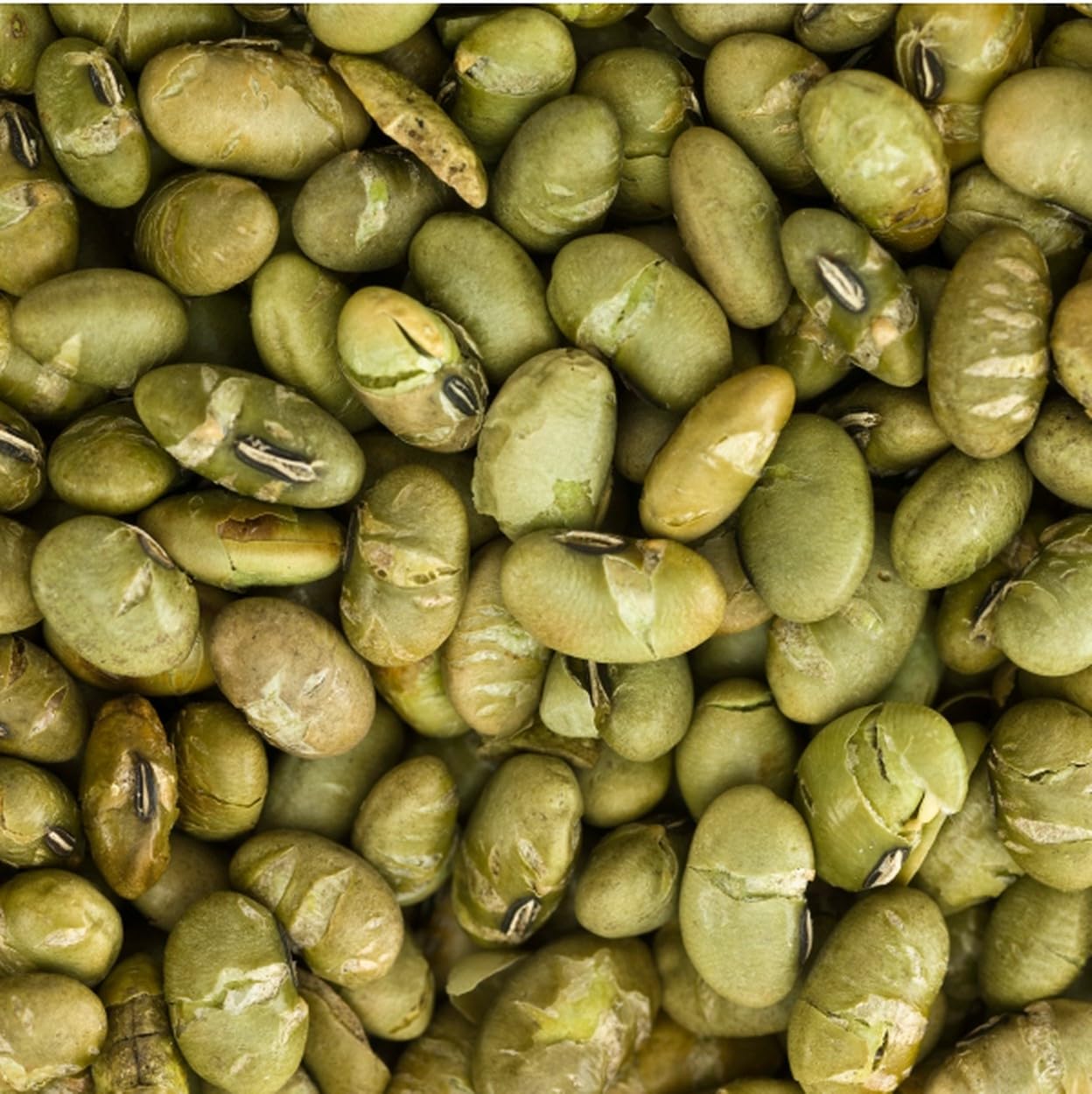 Snack Delights Roasted & Salted Edamame Beans - Healthy, Crunchy, Lightly Salted Plant-Based Snack, 2 lb Bag