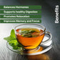 BLUE TEA Spearmint Herbal Tea - 100 Plant-Based Pyramid Tea Bags - Caffeine Free - Refreshing Flavor - Ziplock Pouch