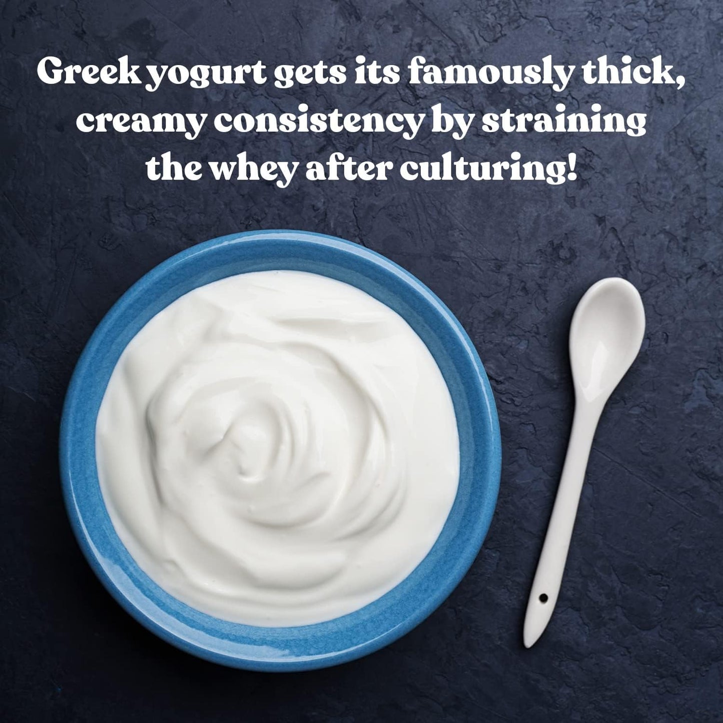 Cultures For Health Greek Yogurt Starter Culture | 16 Packets | 8 Count | Dehydrated Heirloom Style Probiotic Yogurt