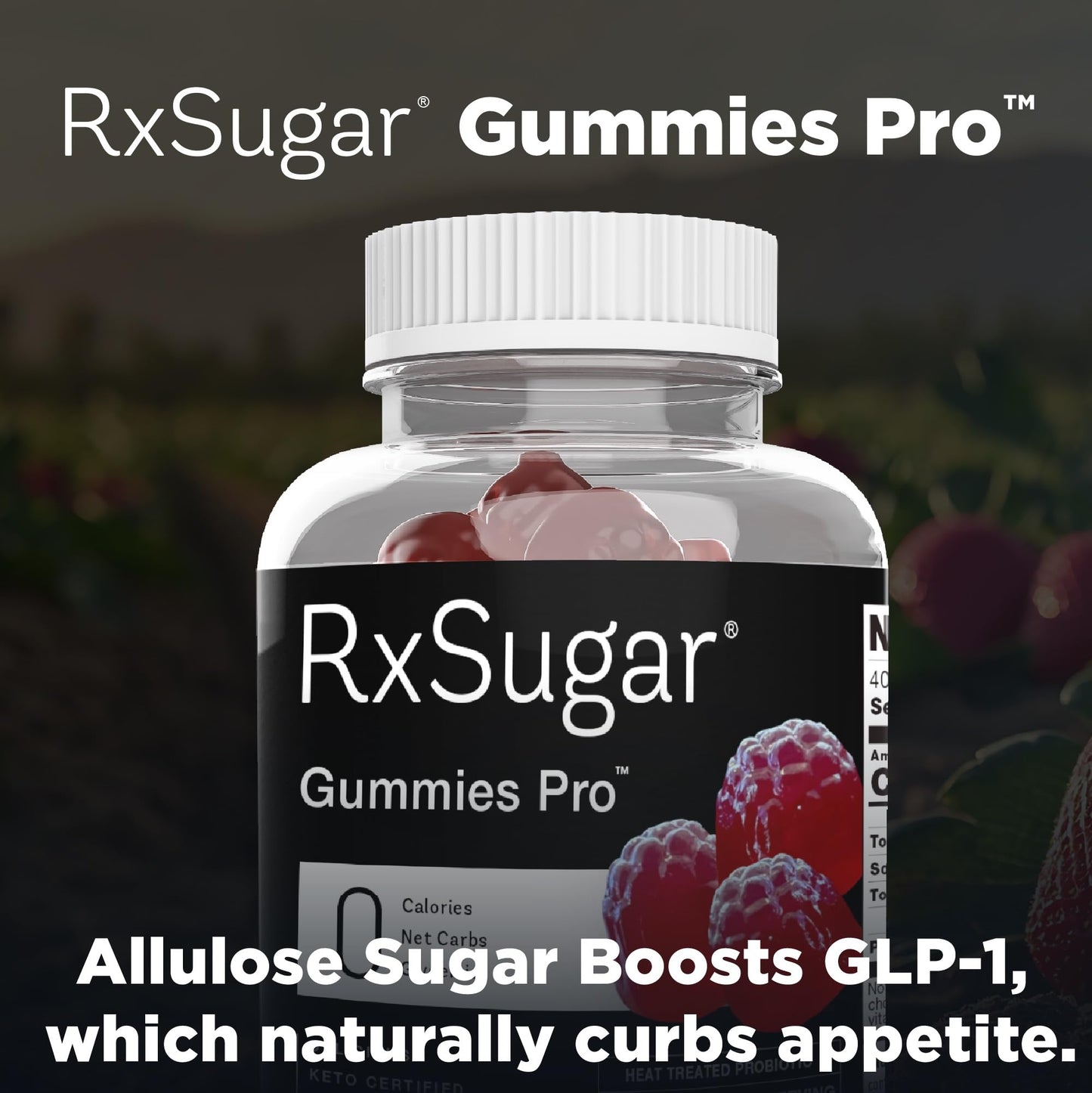 RxSugar Gummies Pro | 2 Bottles | 160 Gummies | 0 Sugar, 10 Billion CFU Probiotics | Dye-Free | Non-GMO | Gluten-Free