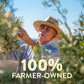 Pompeian USDA Organic Robust Extra Virgin Olive Oil, Contains Polyphenols, First Cold Pressed, Full-Bodied Flavor, Perfect for S