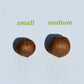 Raw, small size in-shell Hazelnuts grown in our family s orchard. 12 pound squirrel box.