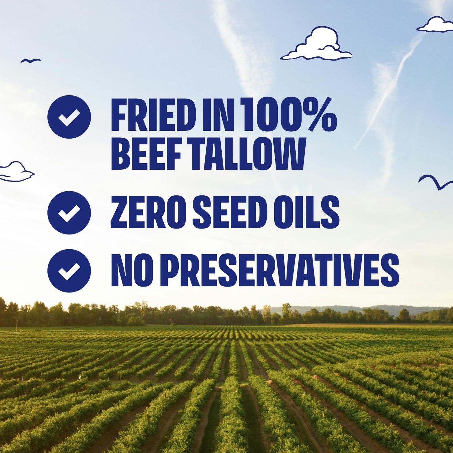 TASTY NATES Beef Tallow Potato Chips - Original Sea Salt, 7oz Pack of 2, Seed Oil Free, Paleo Snacks