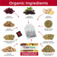 CogniTea Herbal Immunity Tea - Immune System Booster - 20 Count - Caffeine Free - Elderberry, Echinacea, Lemon & Ginger