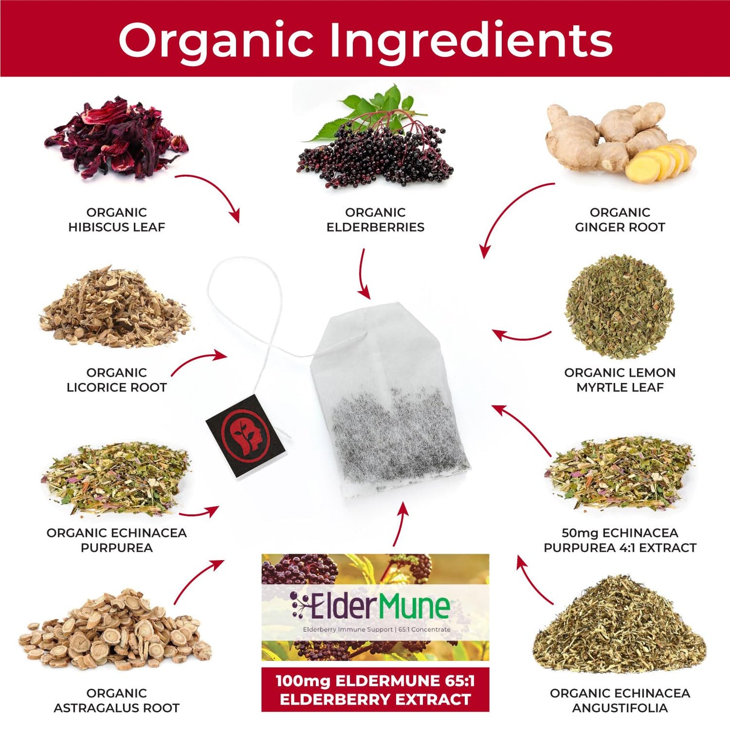 CogniTea Herbal Immunity Tea - Immune System Booster - 20 Count - Caffeine Free - Elderberry, Echinacea, Lemon & Ginger