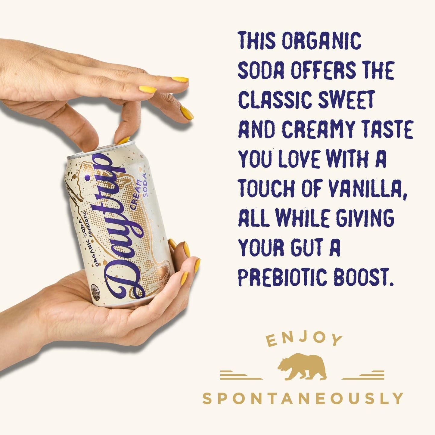 Daytrip Organic Sparkling Prebiotic Soda, Low Sugar, 12-Pack, Cream Soda
