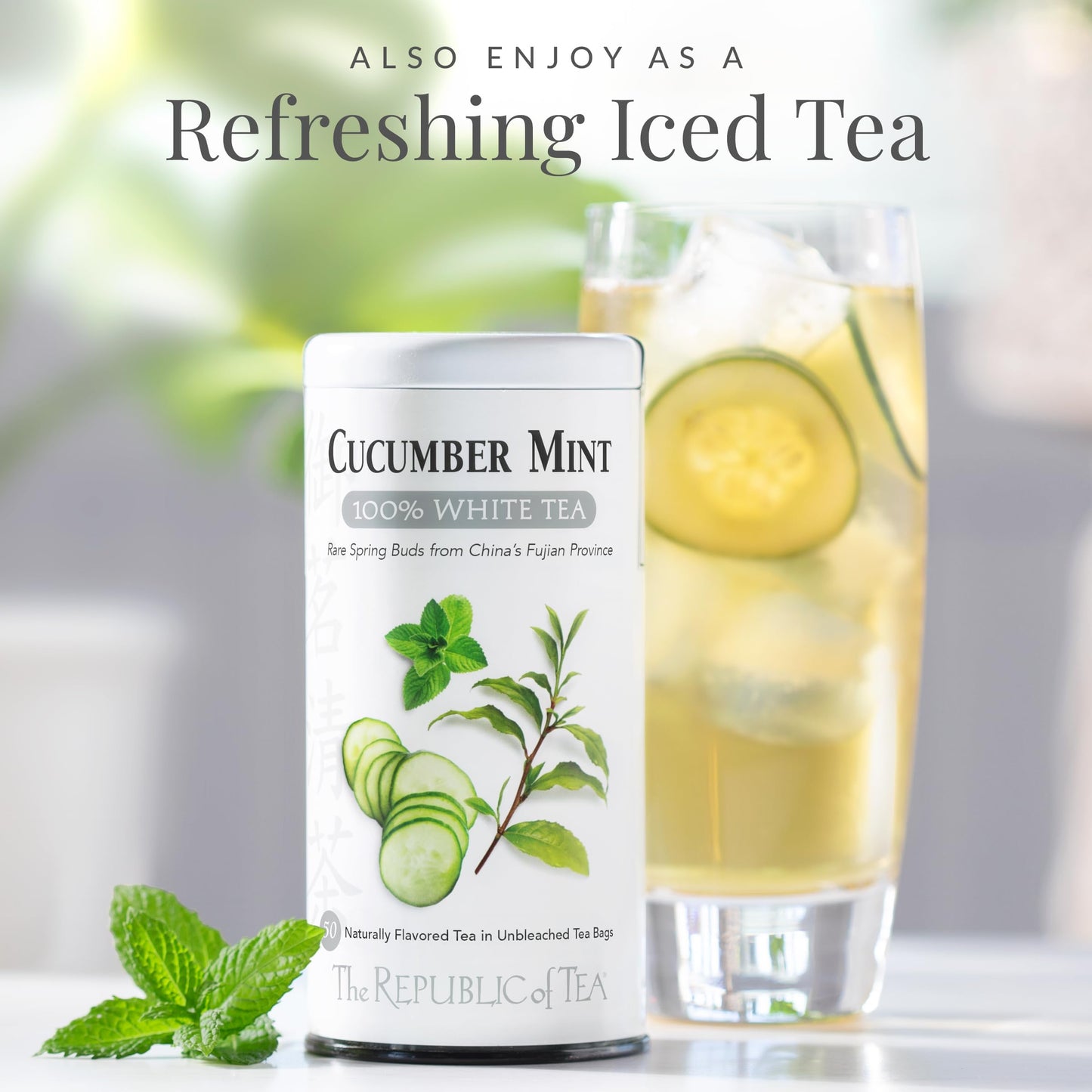 The Republic of Tea Cucumber Mint 100% White Tea Bags - 250 Count, Low-Caffeinated