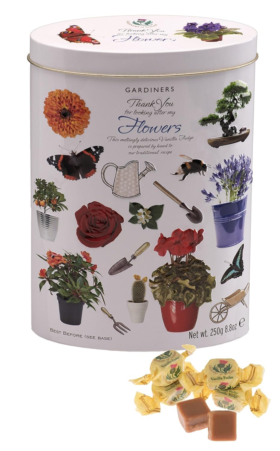 Gardiners Of Scotland Handmade Fudge 250G Tin  Thank You Flowers Vanilla Fudge