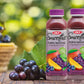 OKF Smoothie Multi Vitamin Drink, 16.9 Fl Oz, Pack of 10, Purple Flavor
